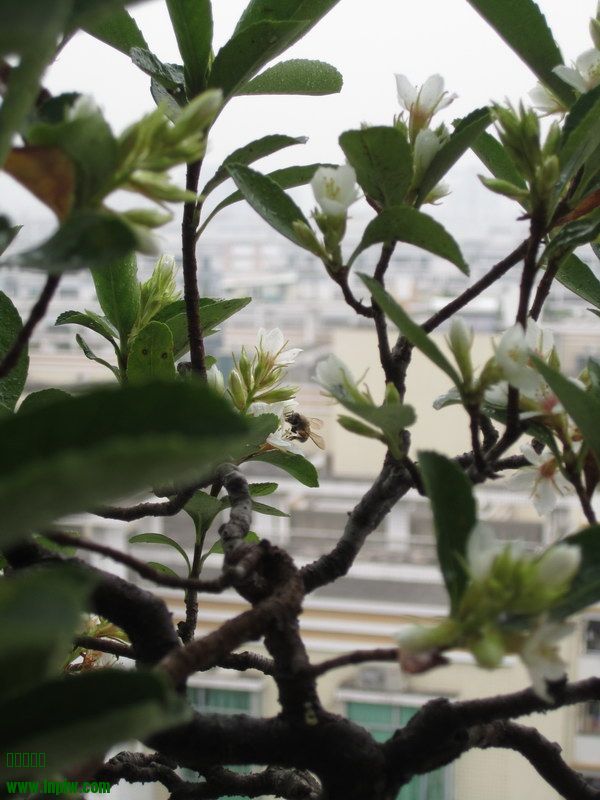 Ը˴2014괺4.JPG