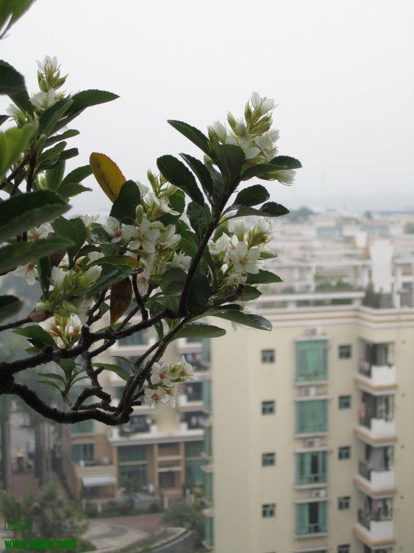 Ը˴2014괺5.JPG