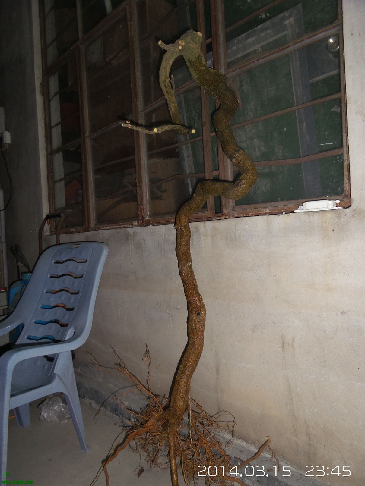 20140315_234530.jpg