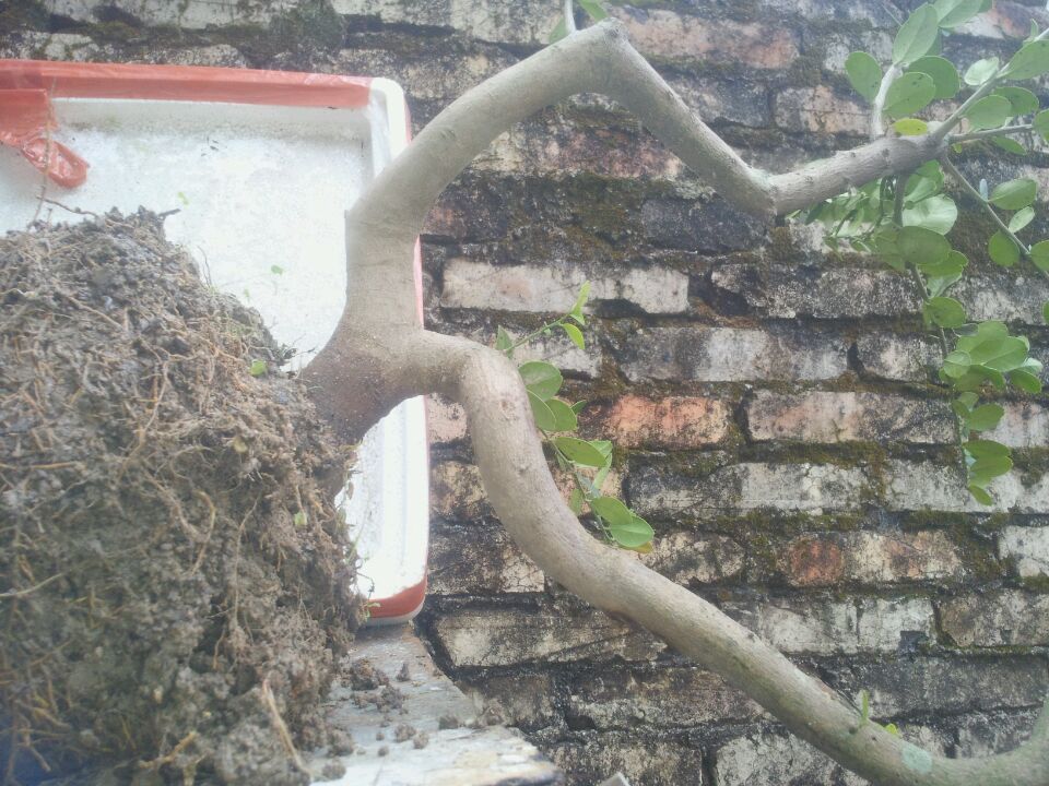 wifi0s0-5270533820140317_130151.jpg