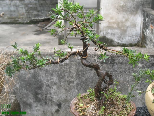IMG_7893.JPG