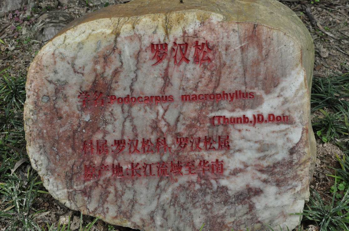 С _DSC0095.JPG