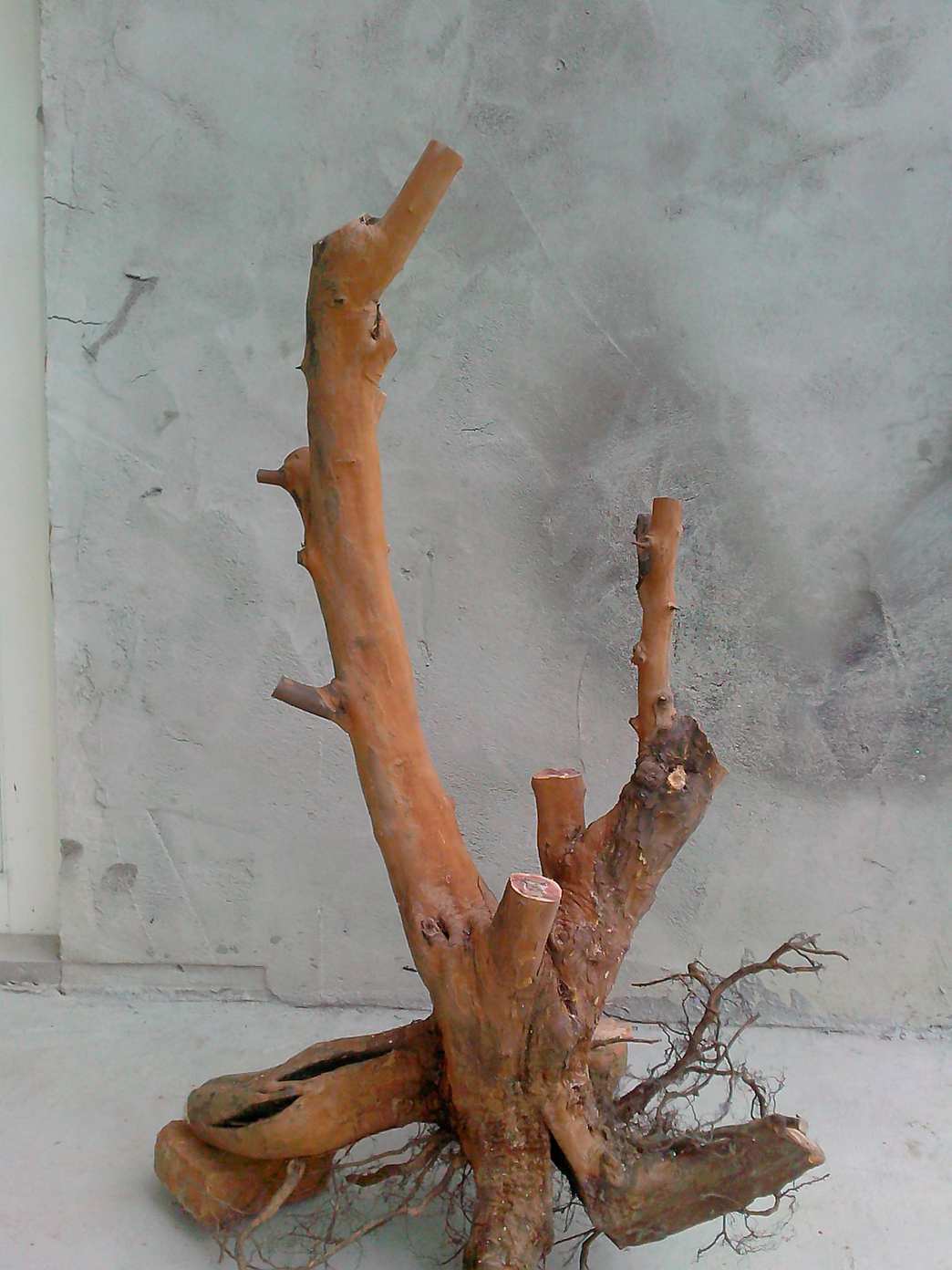 IMG20140316026.jpg