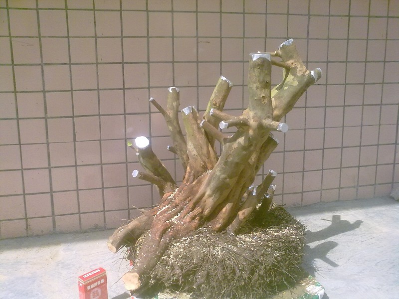 201403184735.jpg