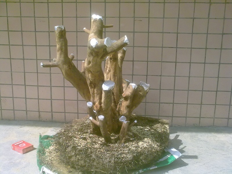 201403184736.jpg