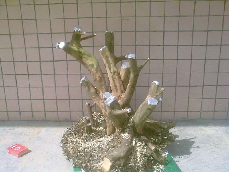 201403184737.jpg