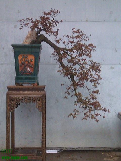 IMAG0162.jpg