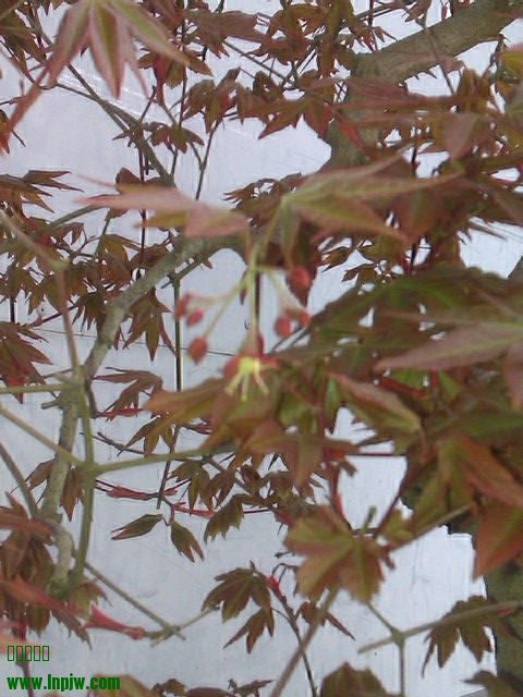 IMAG0160.jpg