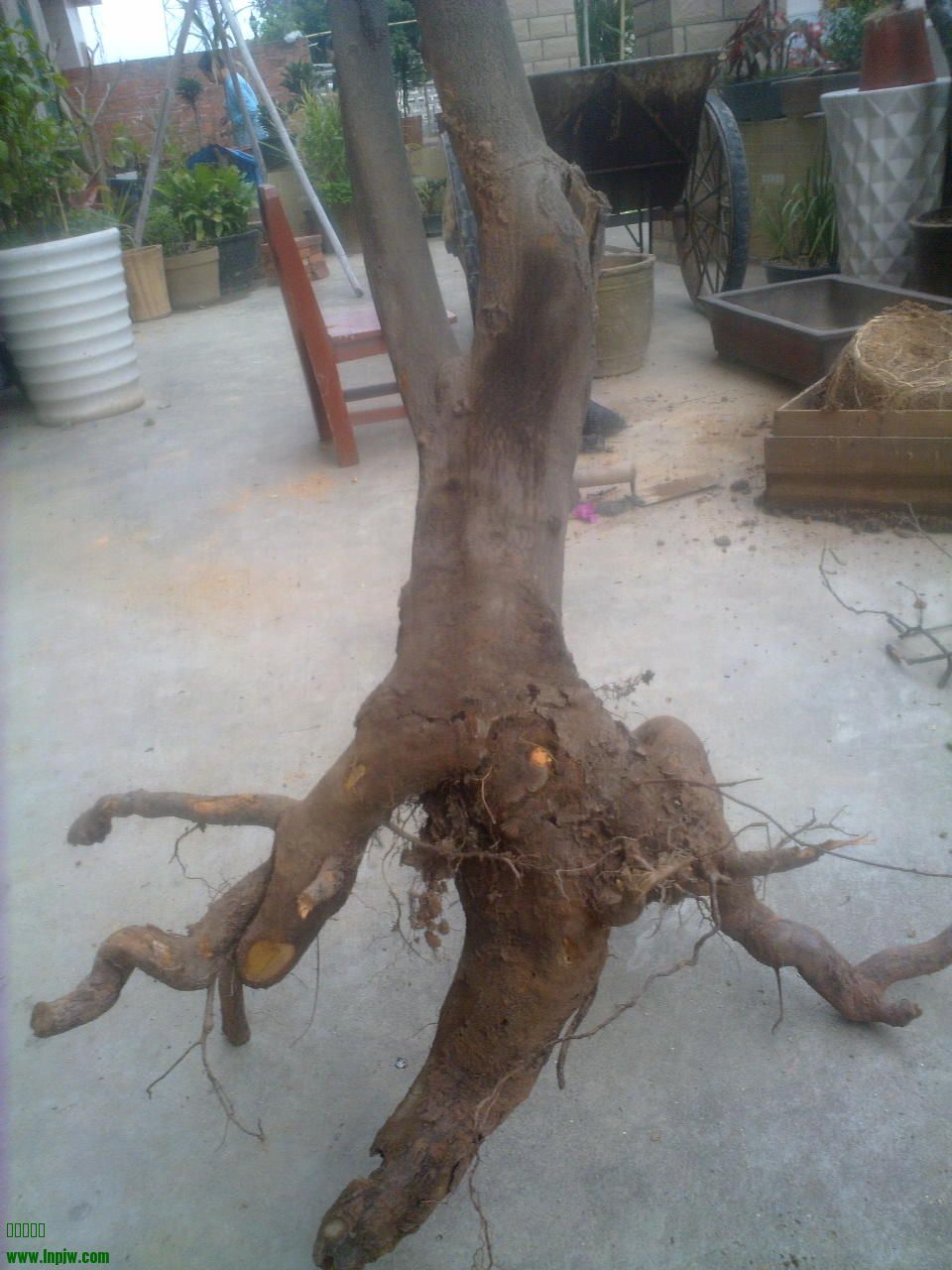 201403181623.jpg
