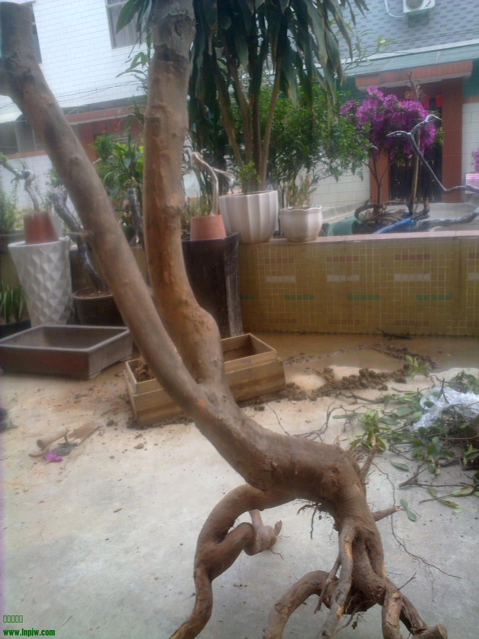 201403181625.jpg