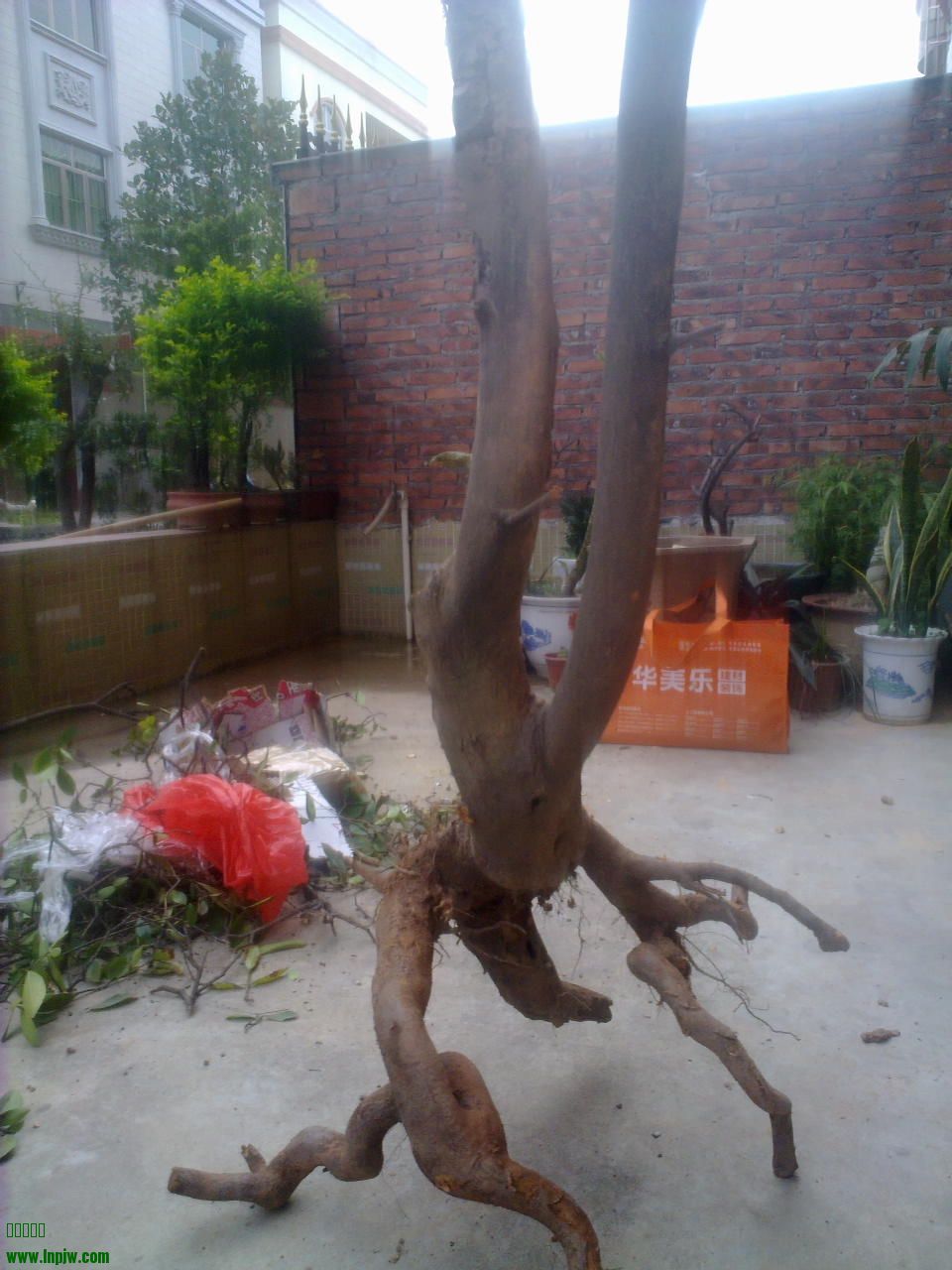 201403181627.jpg