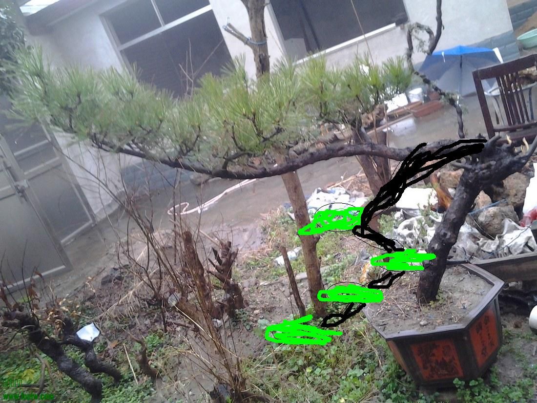 20140312_081654-2.JPG