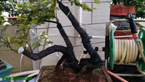 20140318_181107_.jpg