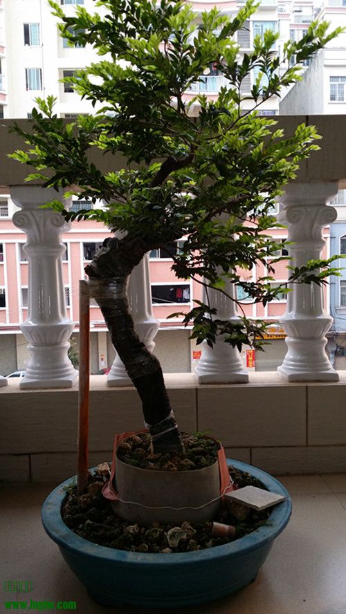 20140319_080904_.jpg