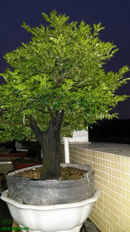 20140318_190151_.jpg