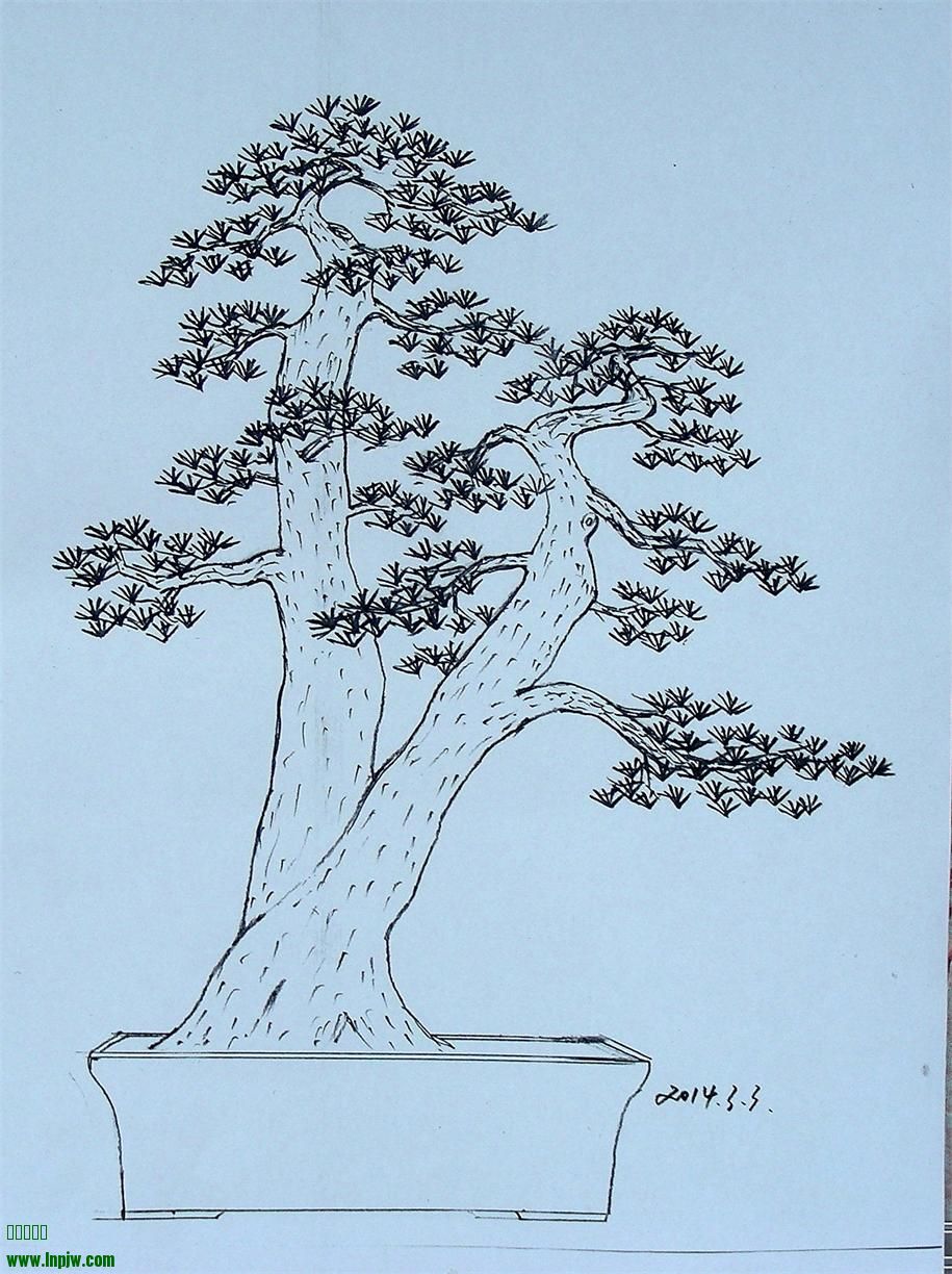 DSCN3590.JPG