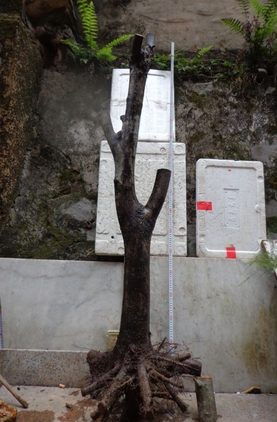 QQͼƬ20140310104539 - .jpg