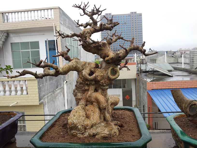 20140307_12155708.JPG