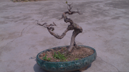 QQͼ20140321154600.png