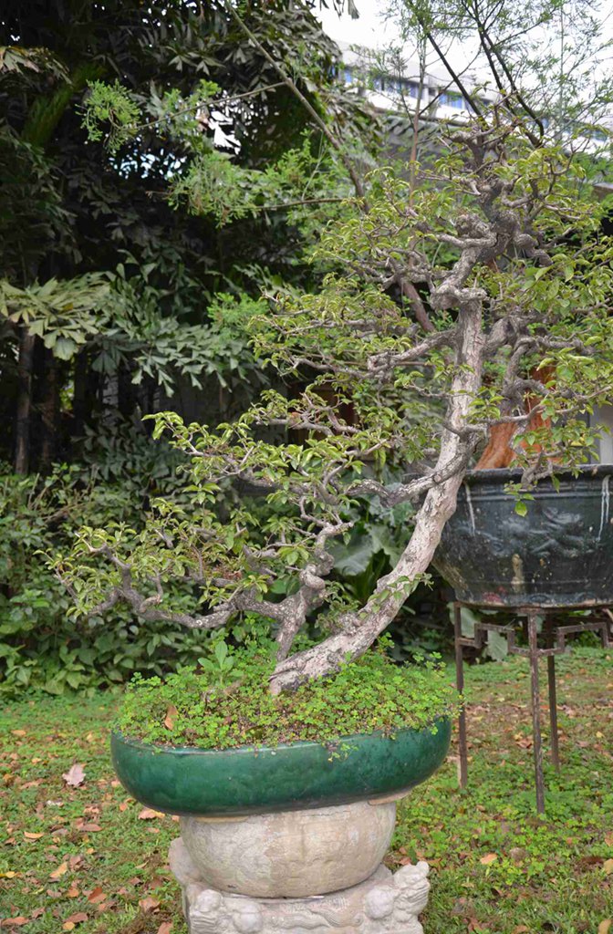 DSC_0895.jpg