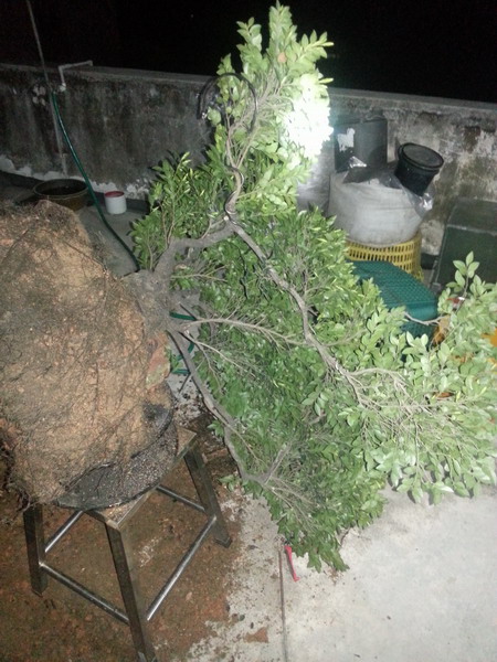 20140220_210822_СС.jpg