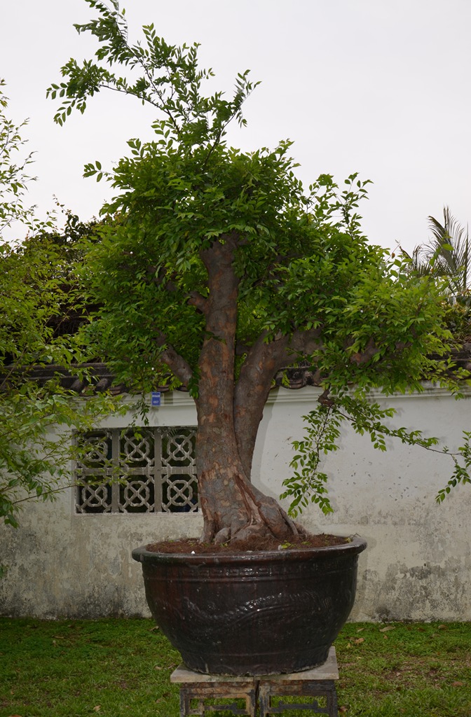 DSC_0924.jpg