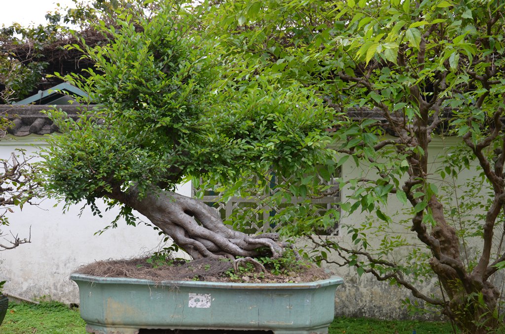 DSC_0927.jpg