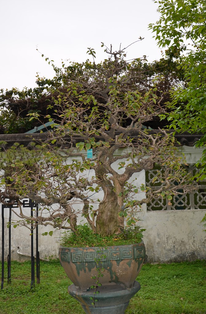 DSC_0928.jpg