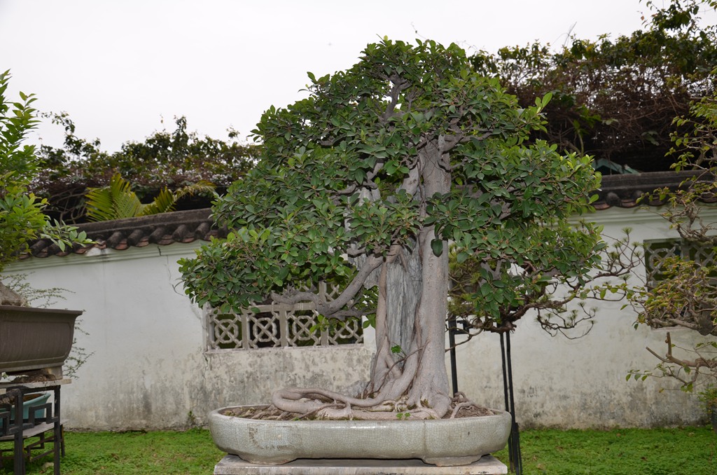 DSC_0929.jpg