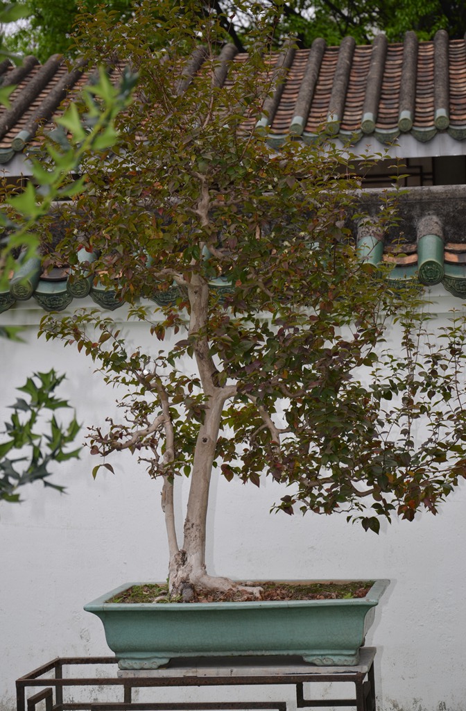 DSC_0940.jpg