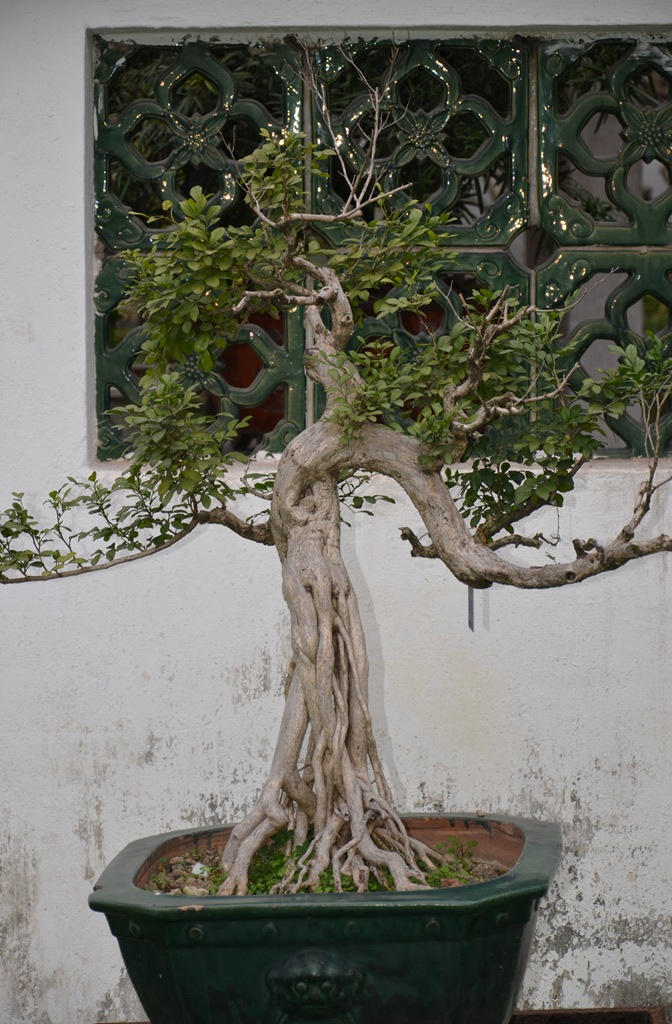 DSC_0945.jpg