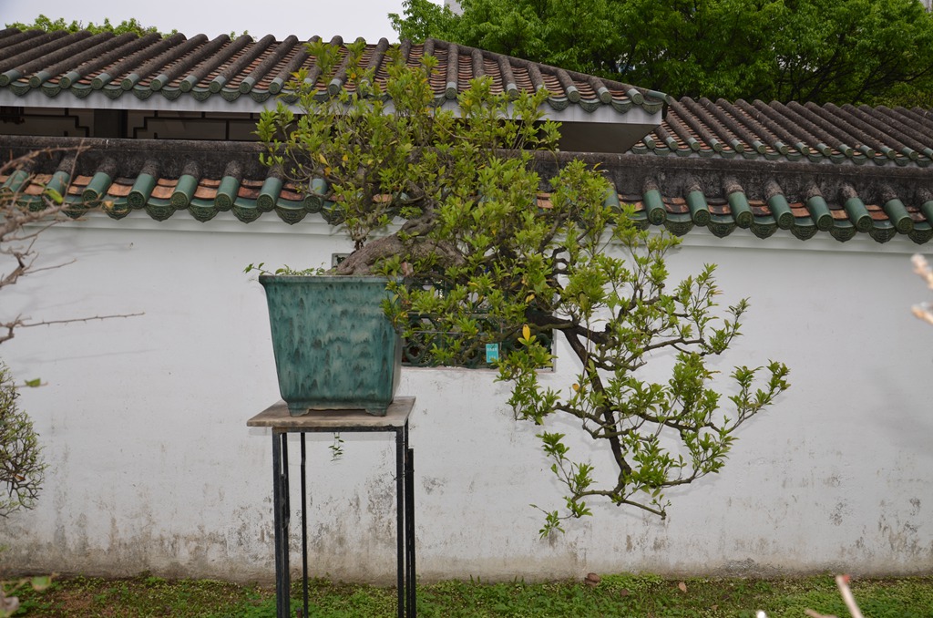 DSC_0953.jpg