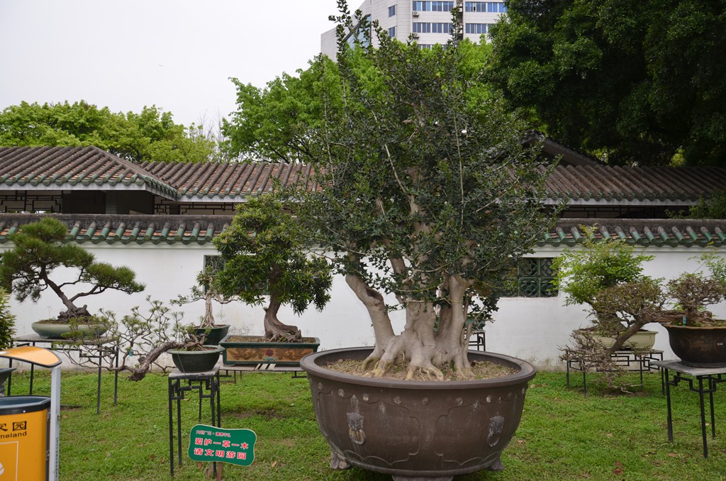 DSC_0941.jpg