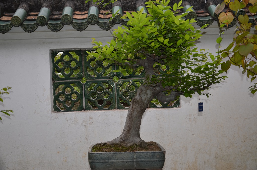DSC_0974.jpg