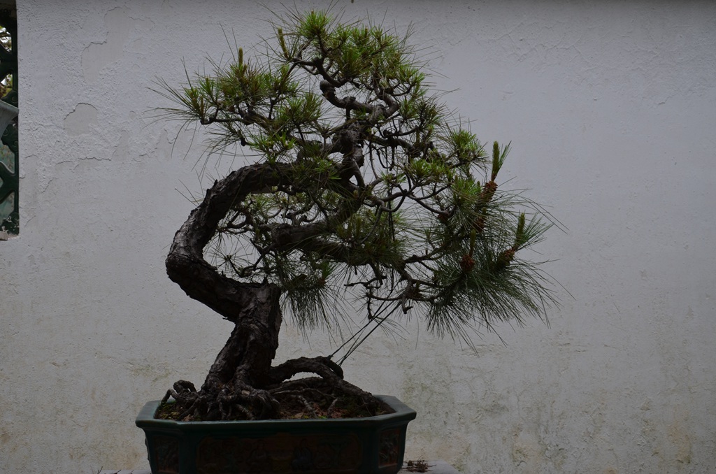 DSC_0977.jpg