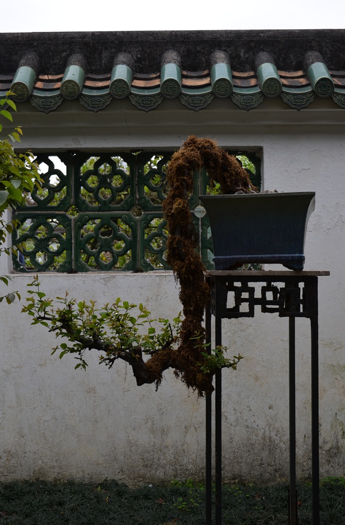 DSC_0978.jpg