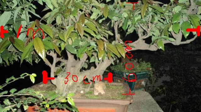 003954k8dxcd7f88ccfx8a.jpg.thumb.jpg