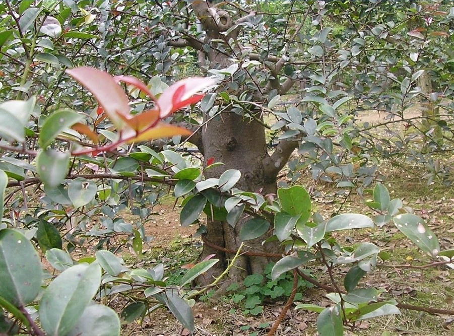 84.jpg