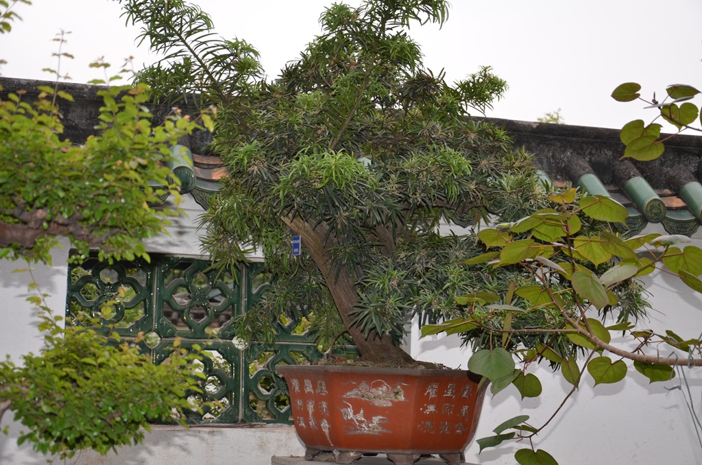 DSC_0986.jpg