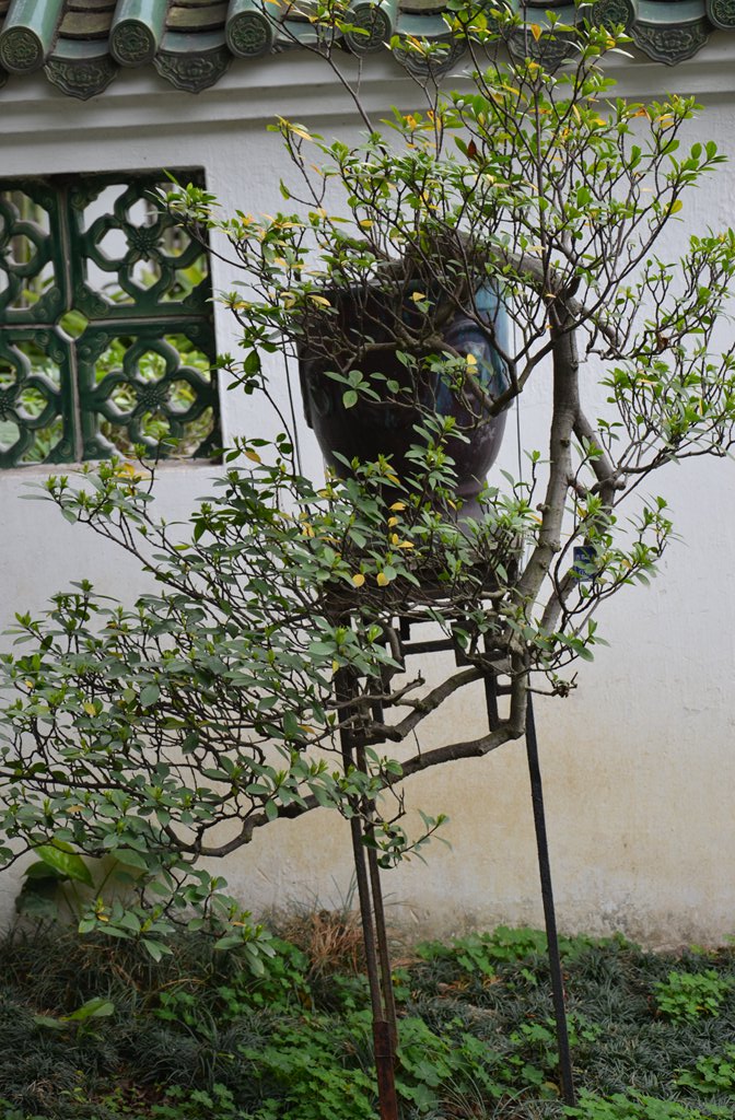 DSC_0994.jpg