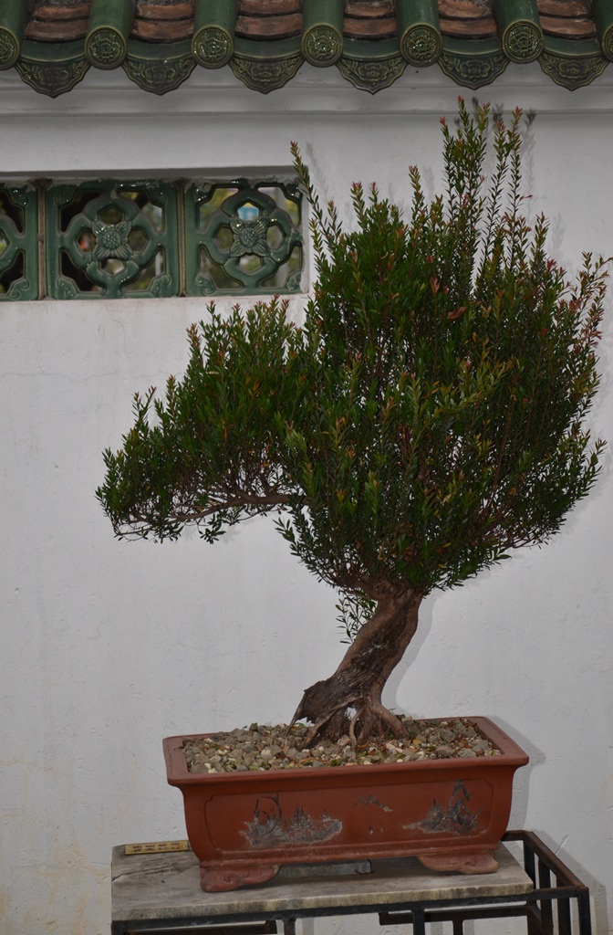 DSC_1033.jpg