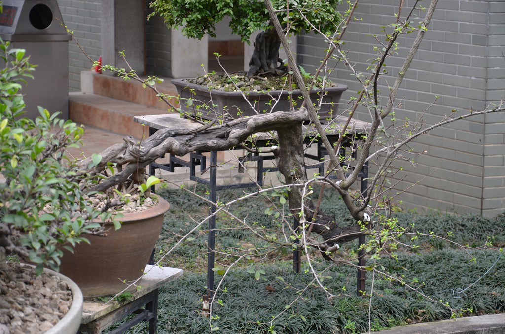 DSC_1022.jpg
