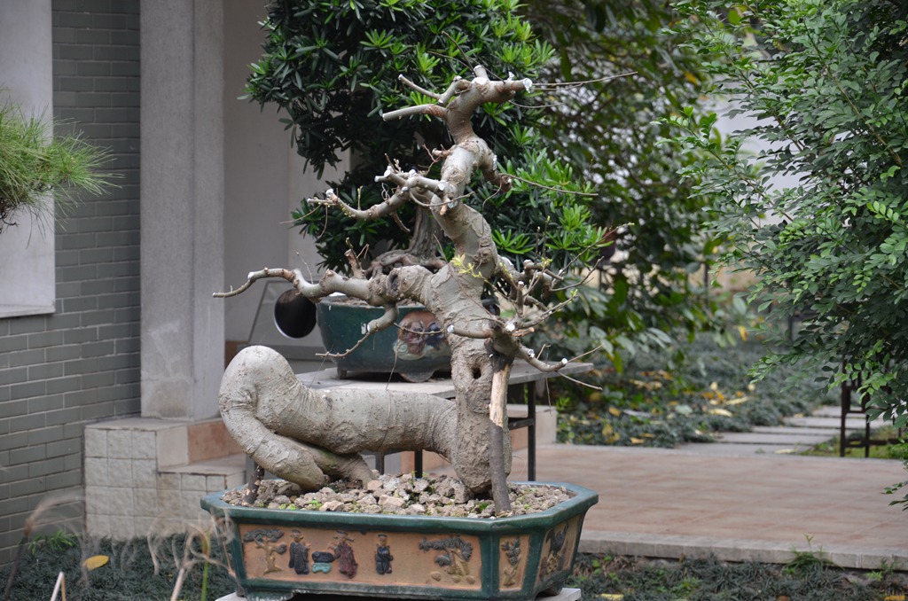 DSC_1023.jpg