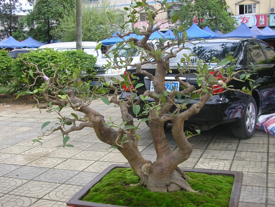 105.jpg