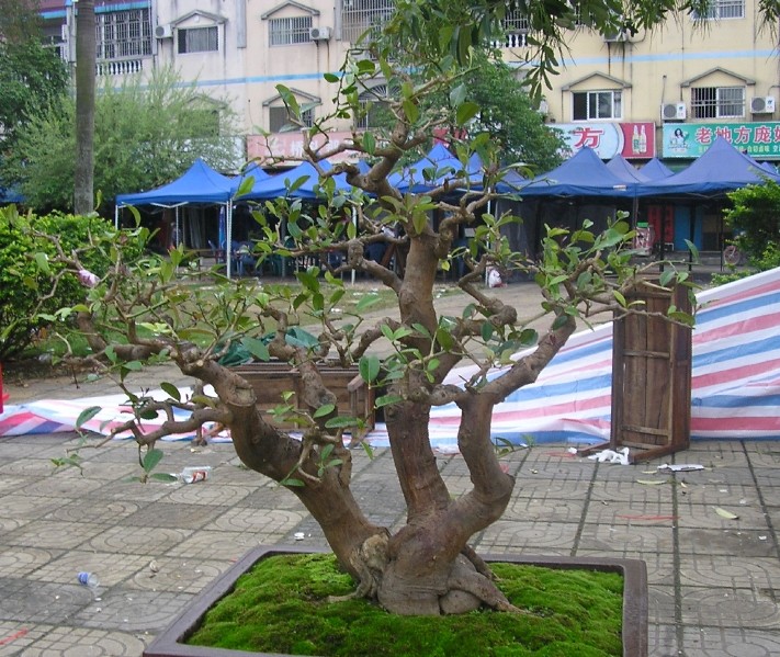 109.jpg