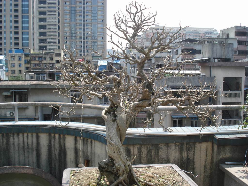 DSC01914.JPG