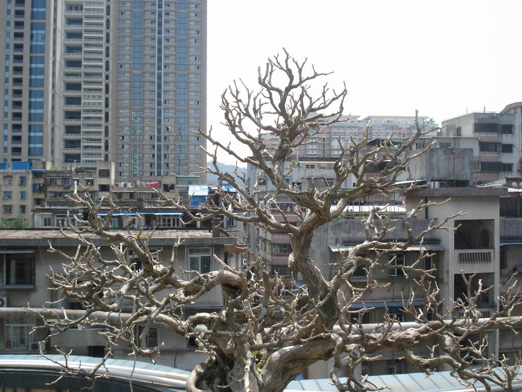 DSC01918.JPG