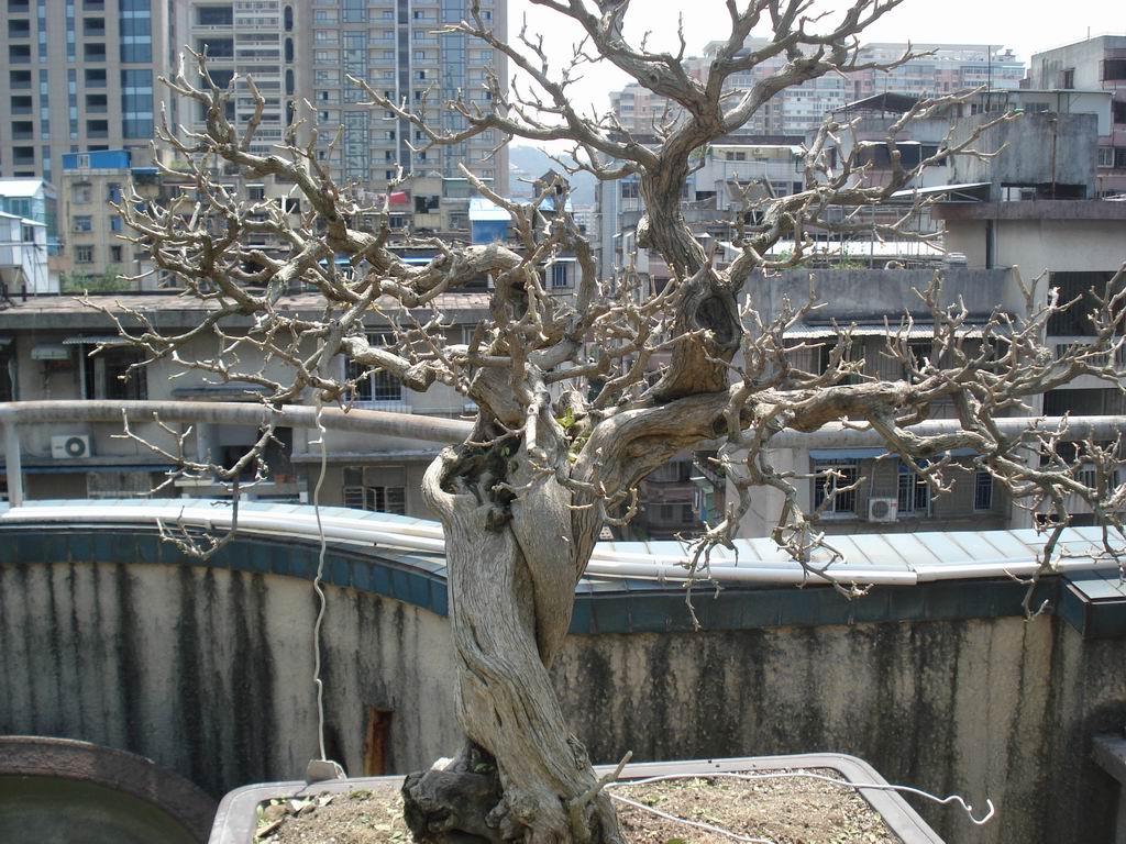 DSC01920.JPG