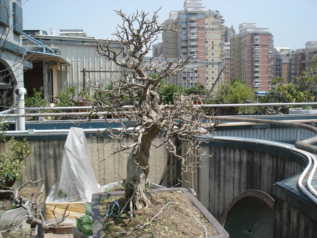 DSC01923.JPG