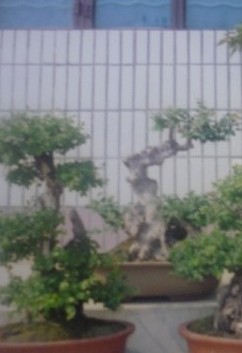 QQͼƬ20140322192239.jpg